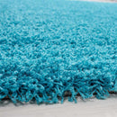 Abaseen Teal Rugs For Living Room