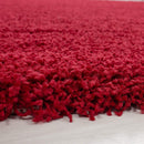 Abaseen Red Rugs For Living Room