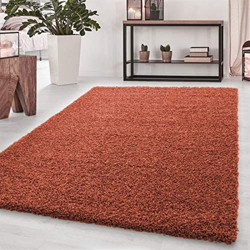 Abaseen Large Terracotta Shaggy Rugs Big Rug For Living Room