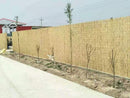 Natural Thick Reed Screening 4m x 2m | Garden Reed Fence Screening
