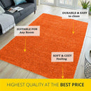 Abaseen Colourful Runner Rugs UK Large Non-Slip Washable Rugs