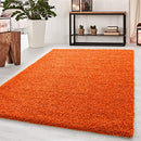 Abaseen Colourful Large Rugs Machine Washable Rugs UK