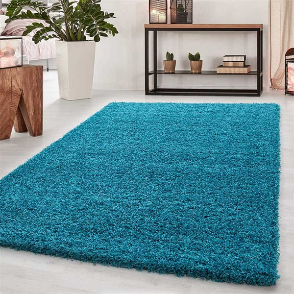 Abaseen Teal Rugs For Living Room Machine Washable