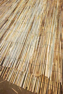 Natural Split Reed Fence Screening Wind Screen