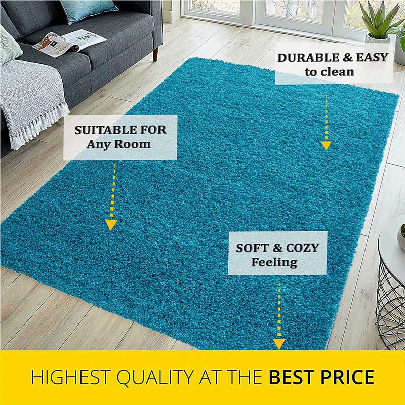 Abaseen Teal Rugs For Living Room All features
