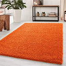 Abaseen Shaggy Rugs for Living Room & Bedroom, Soft Fluffy Carpet Mat, Bedside Rugs