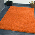 Colourful Shaggy Rugs Large Living Room Rugs Washable