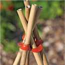 Bamboo Canes Plant Support By Abaseen - Sizes 2ft, 3ft, 4ft, 5ft, 6ft, 7ft, 8ft Thick Garden Canes