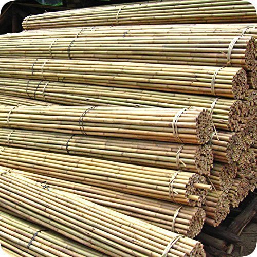 Abasen Garden Canes Heavy Duty Bamboo Plant Sticks for Support