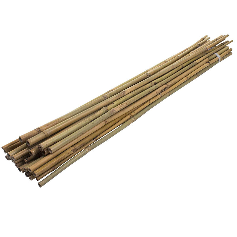 Garden Canes Heavy Duty Bamboo Plant Sticks