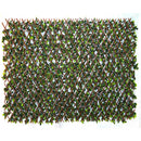 Abaseen Artificial Laurel Leaves Hedge Screening Plastic For Garden Screening 100x200 cm