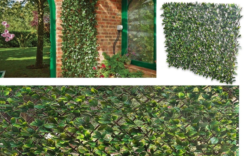 100x200cm Plastic Garden Fence Decorations For Home & Garden Wall Screening In 2022
